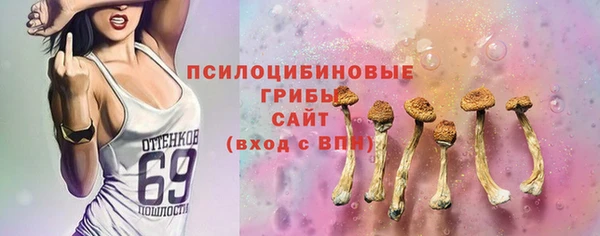 гашик Белокуриха