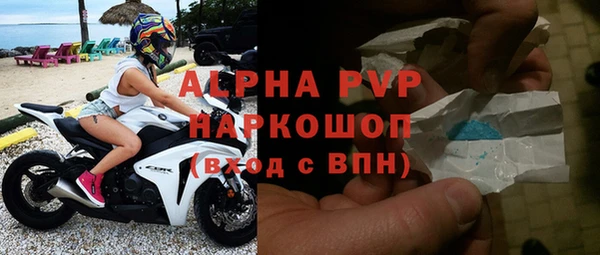 гашик Белокуриха