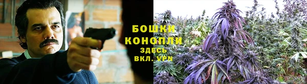 прущие крисы Балабаново